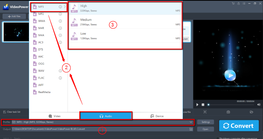 変換 AIFC を MP3, ビデオパワーブルー, 出力形式