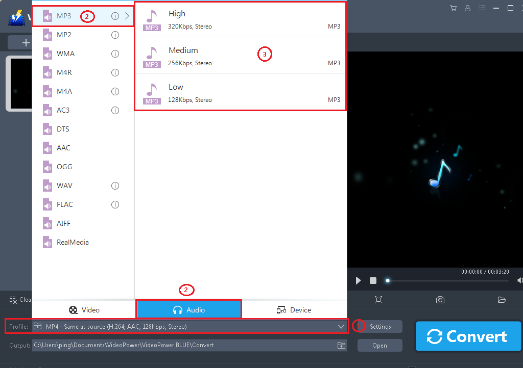 Best Video Converter Software, VideoPower BLUE, output format