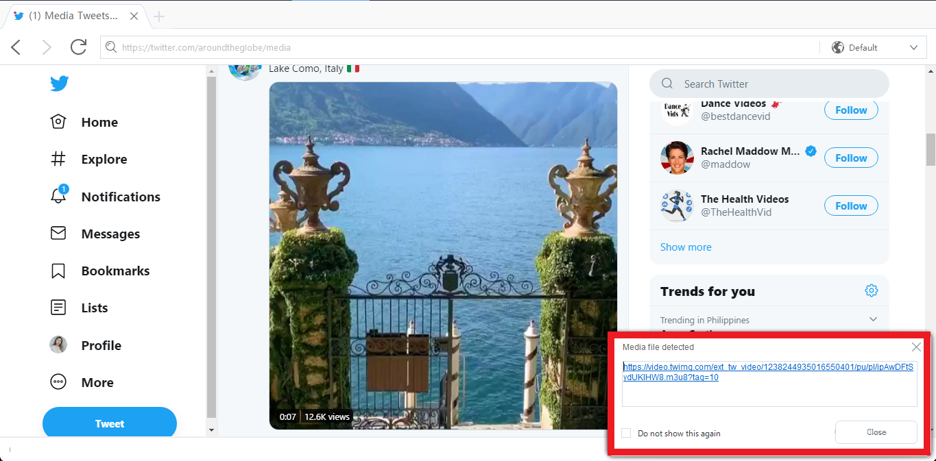 video downloader, VideoPower RED