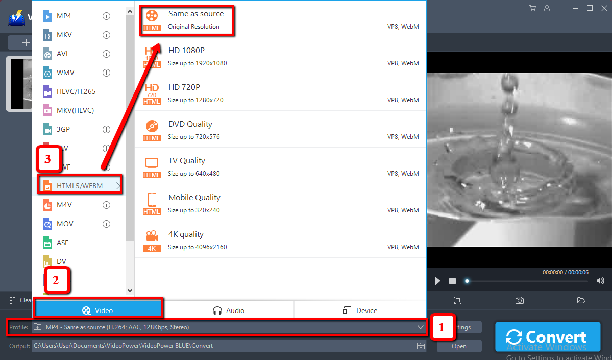 AVI から WebM コンバーター、ビデオパワー ブルー、出力形式