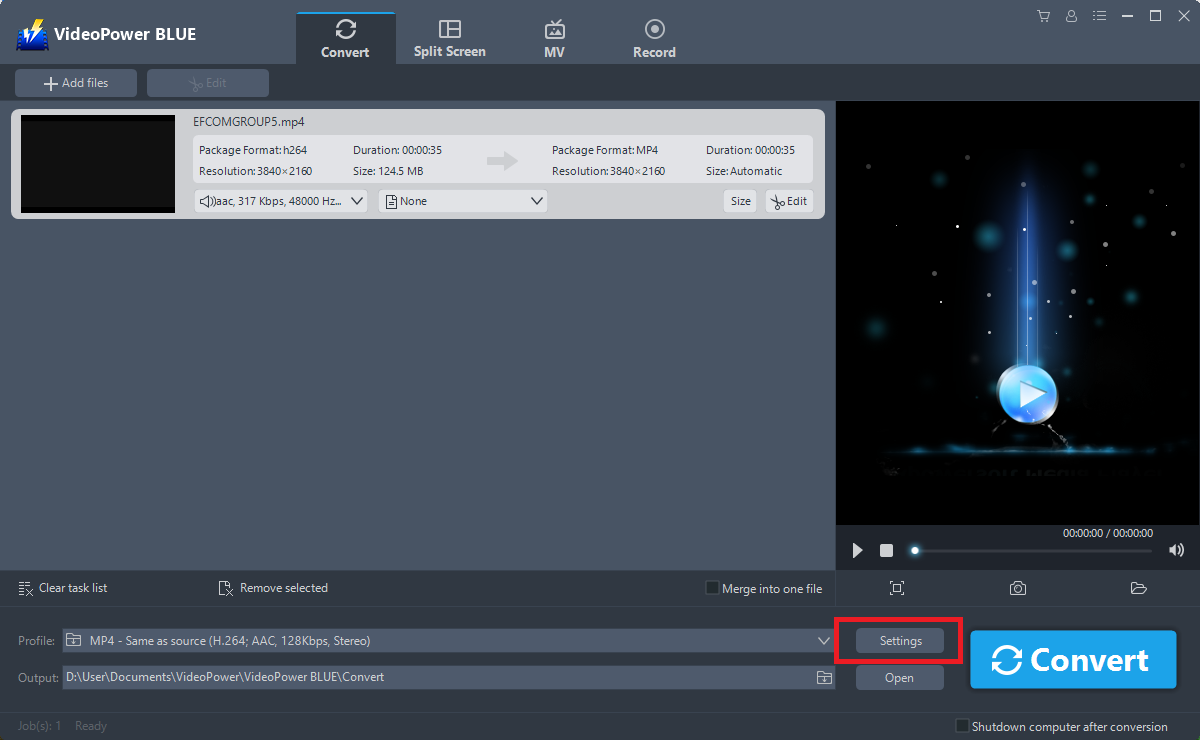 AVI から WebM コンバーター、ビデオパワー ブルー、設定