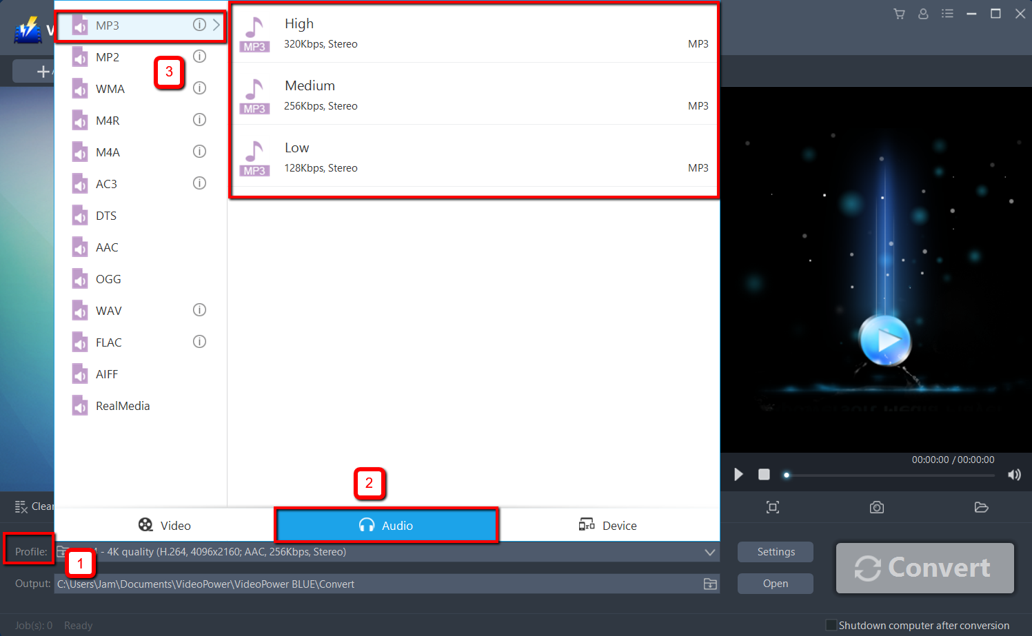 VideoPower BLUE, MKV to MP3 converter, output format