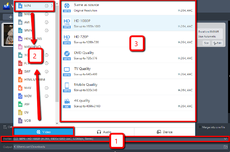 ベストコンバータソフトウェア、ビデオパワーブルー、出力形式を選択