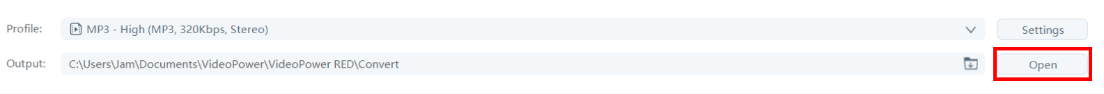 save Flash videos, VideoPower RED, enable advanced detector