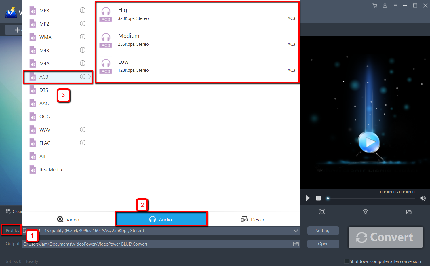 convert DTS to AC3, VideoPower BLUE select audio format.