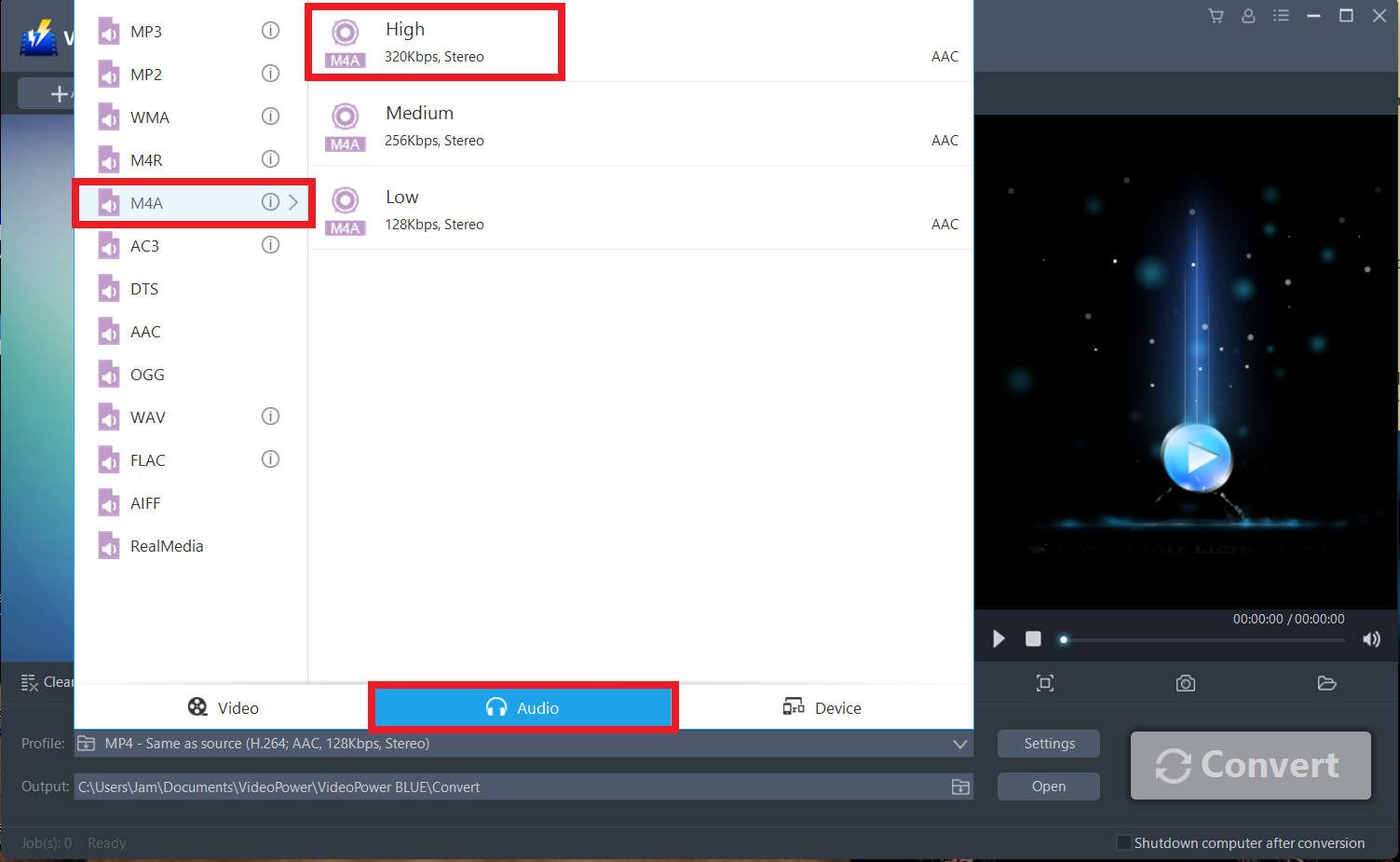 FLAC から M4A コンバータ、ビデオパワー ブルー、アウトプット フォーマット