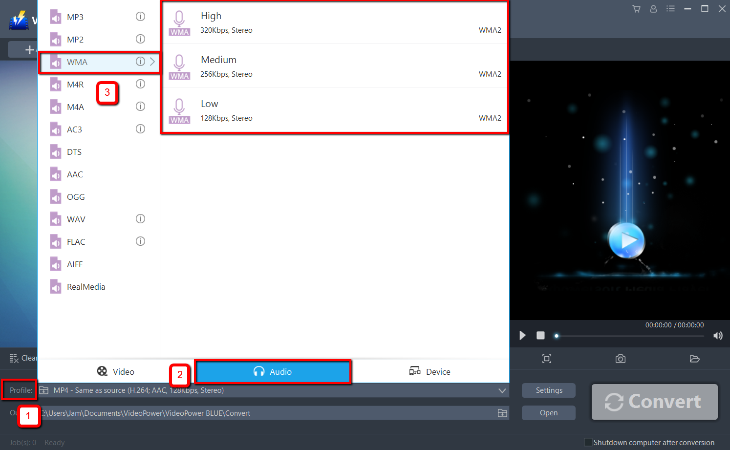 convert M4A to WMA, VideoPower BLUE select audio output.