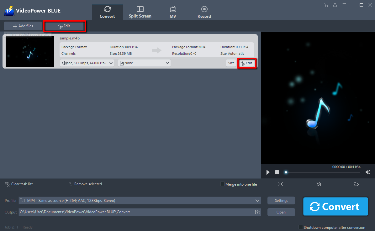 Audiobook to MP3 converter, VideoPower BLUE, edit