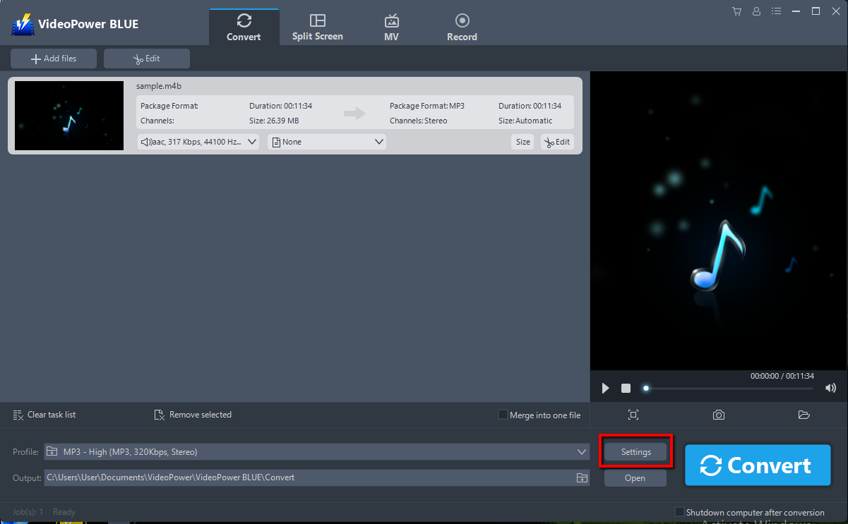 Audiobook to MP3 converter, VideoPower BLUE, settings