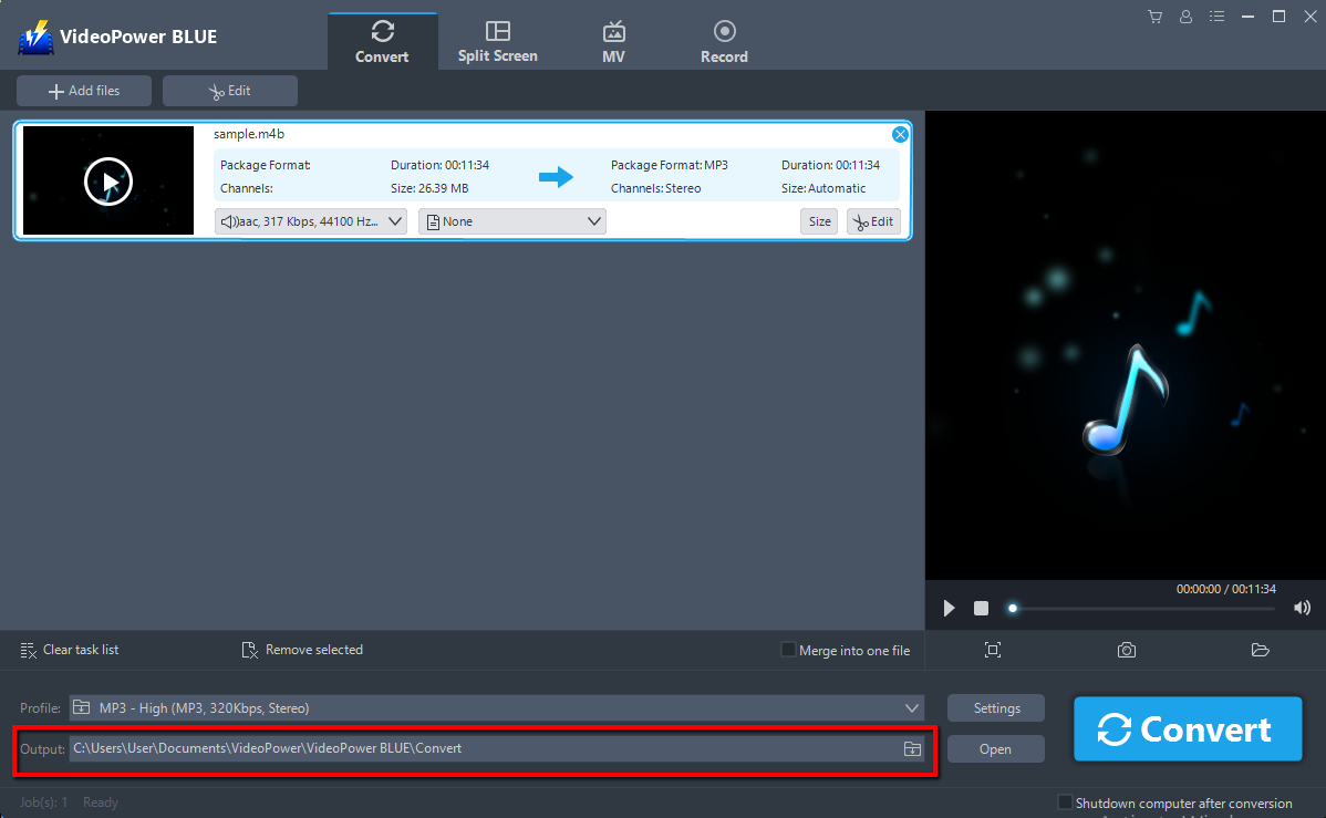 Audiobook to MP3 converter, VideoPower BLUE, settings