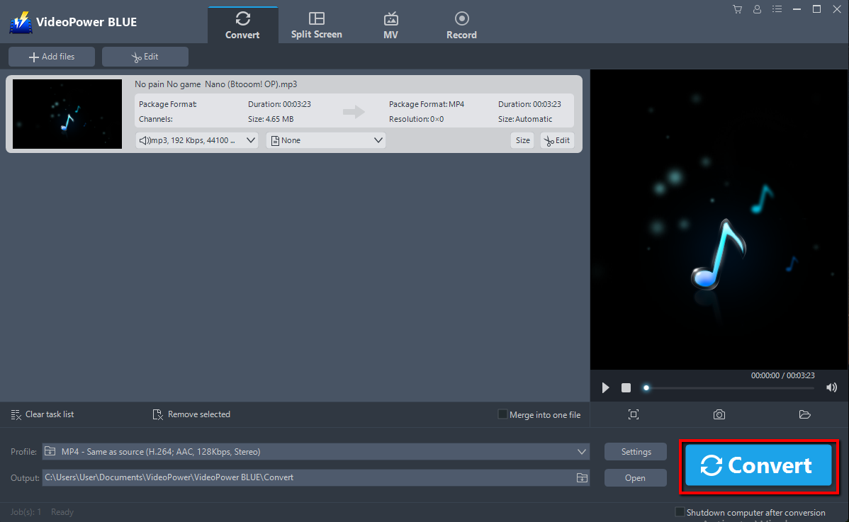 Audiobook to MP3 converter, VideoPower BLUE, convert