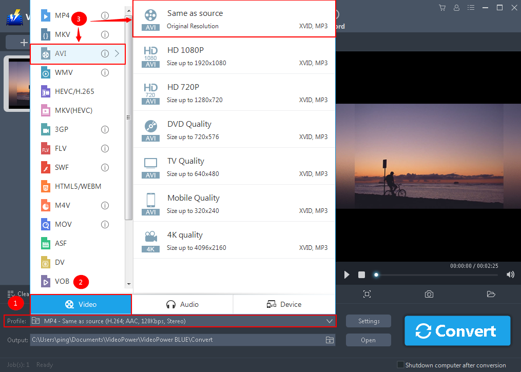 MOV to AVI Converter ,VideoPower BLUE, Output format