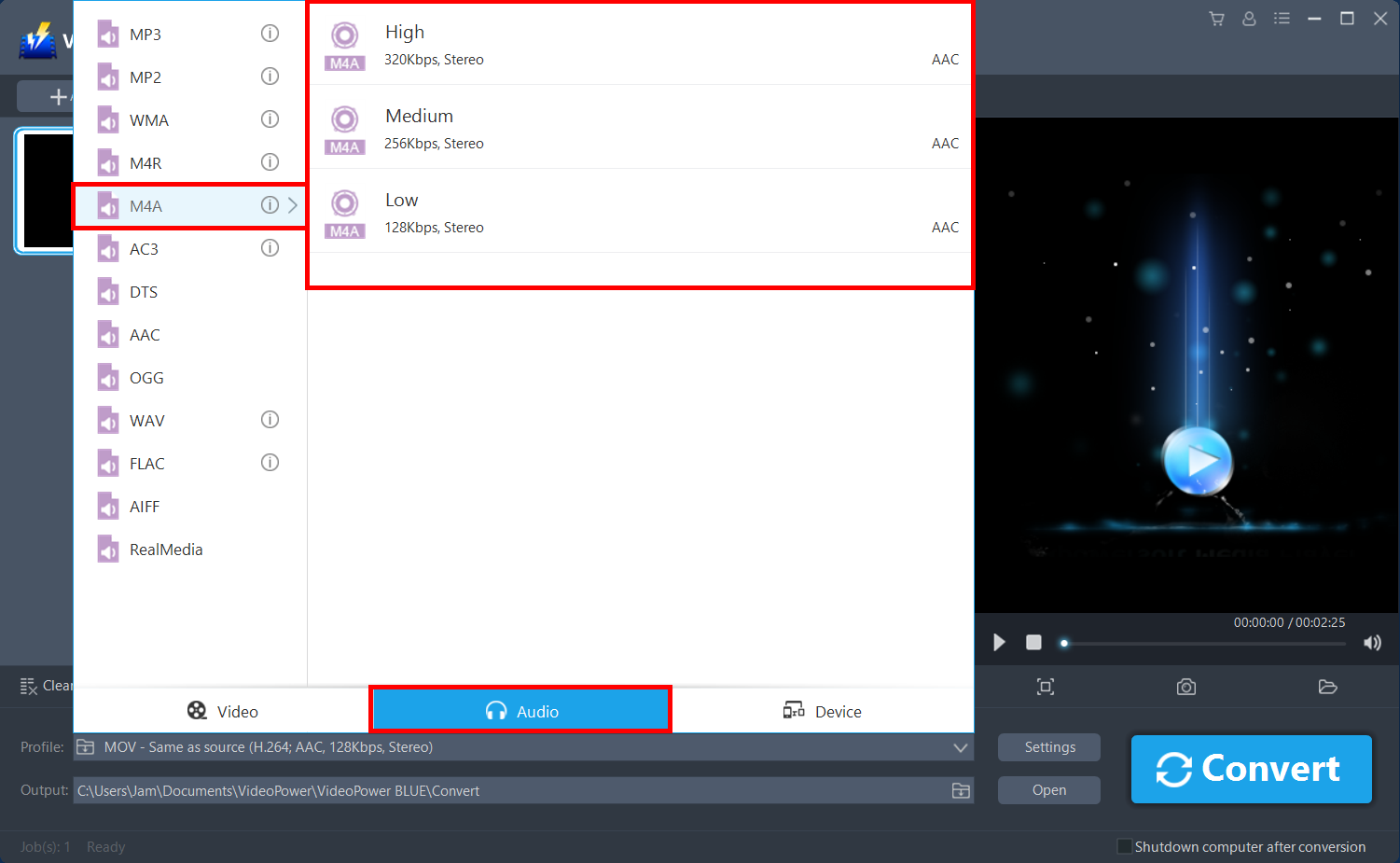 convert MP4 to M4A, VideoPower BLUE select the audio format