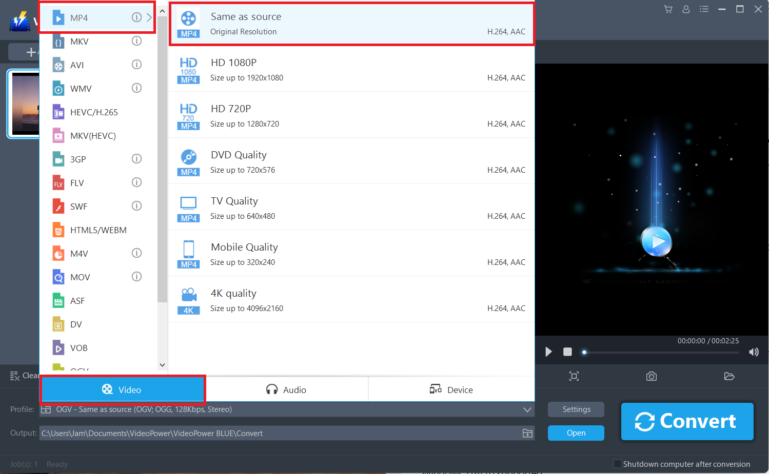 convert RMVB to MP4, VideoPower BLUE select video format