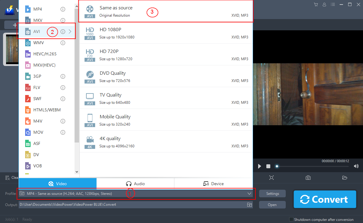 SWF to AVI Converter, VideoPower BLUE, output format