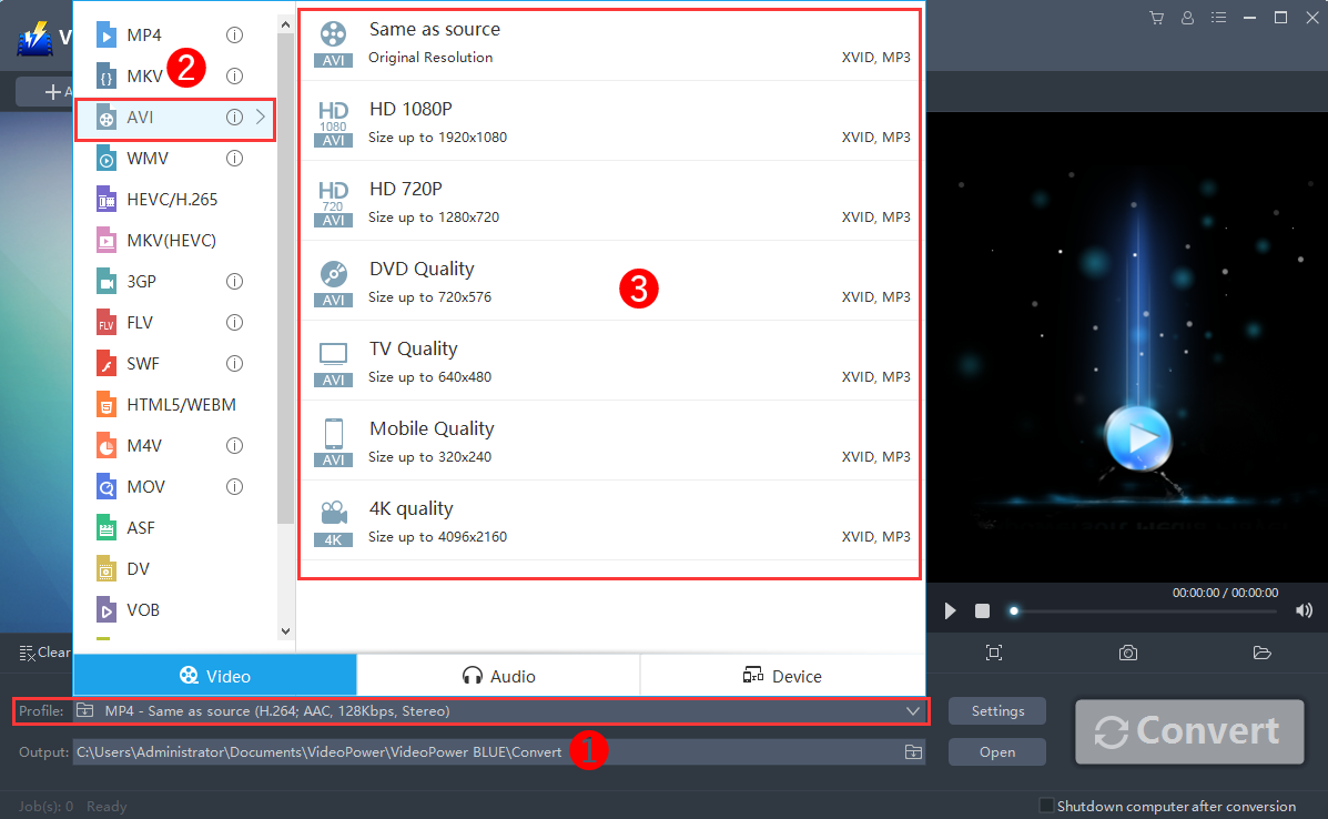 VOB to AVI Converter, VideoPower BLUE, output format