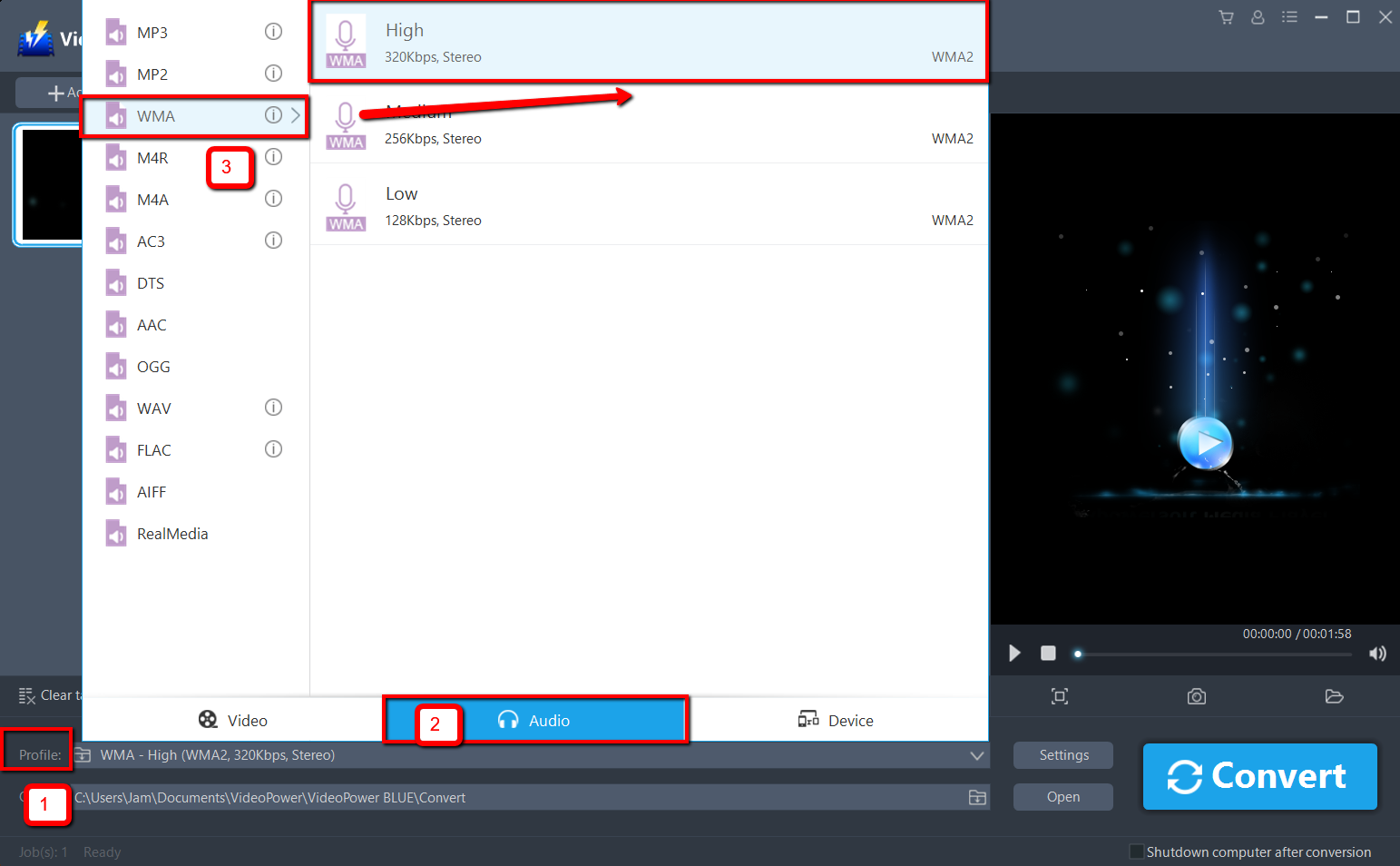convert WAV to WMA, VideoPower BLUE select audio format.