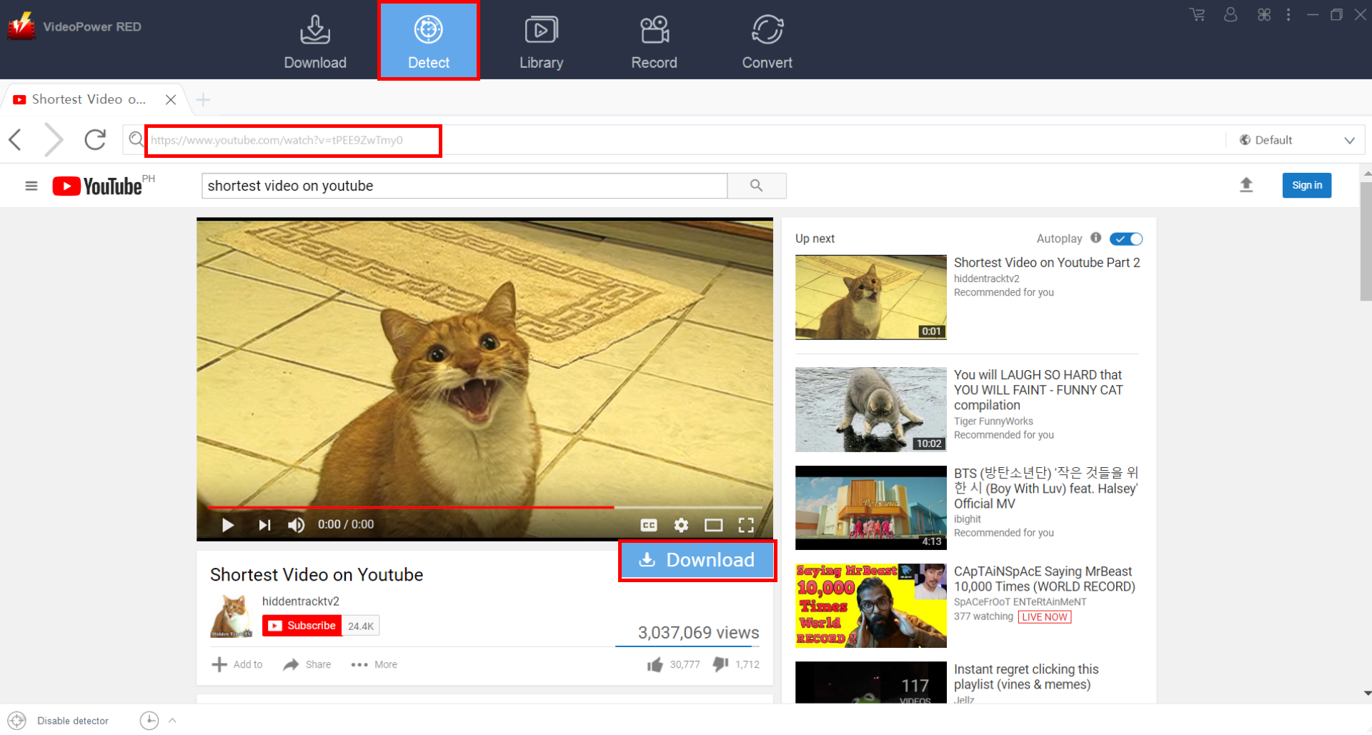 convert YouTube to MP4, VideoPower RED, embedded browser
