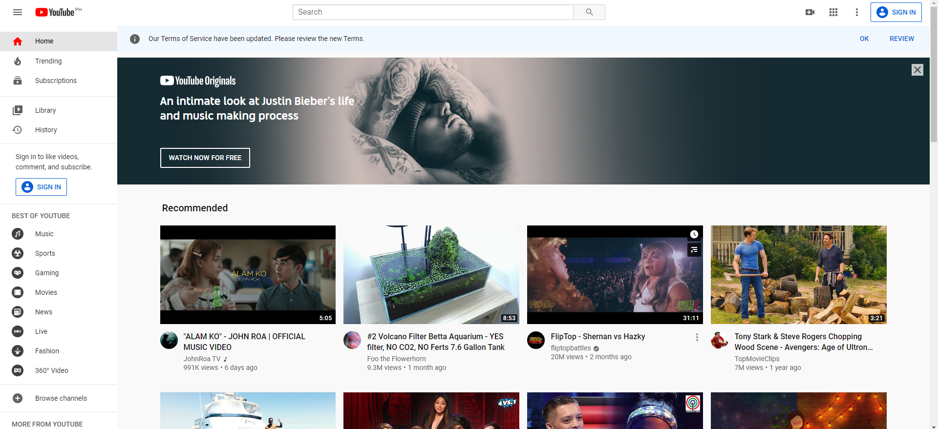 Dailymotion vs youTube, VideoPower RED, YouTube foundation