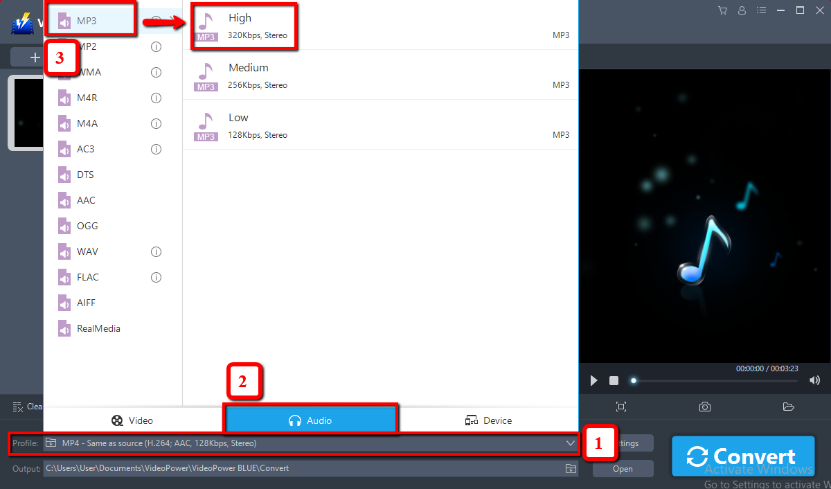 How to Convert DVD to MP3, VideoPower BLUE, Edit