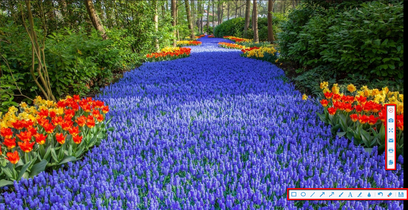 スクリーンショットエディタ、ビデオパワーグリーンは、設定に変更を加えます。