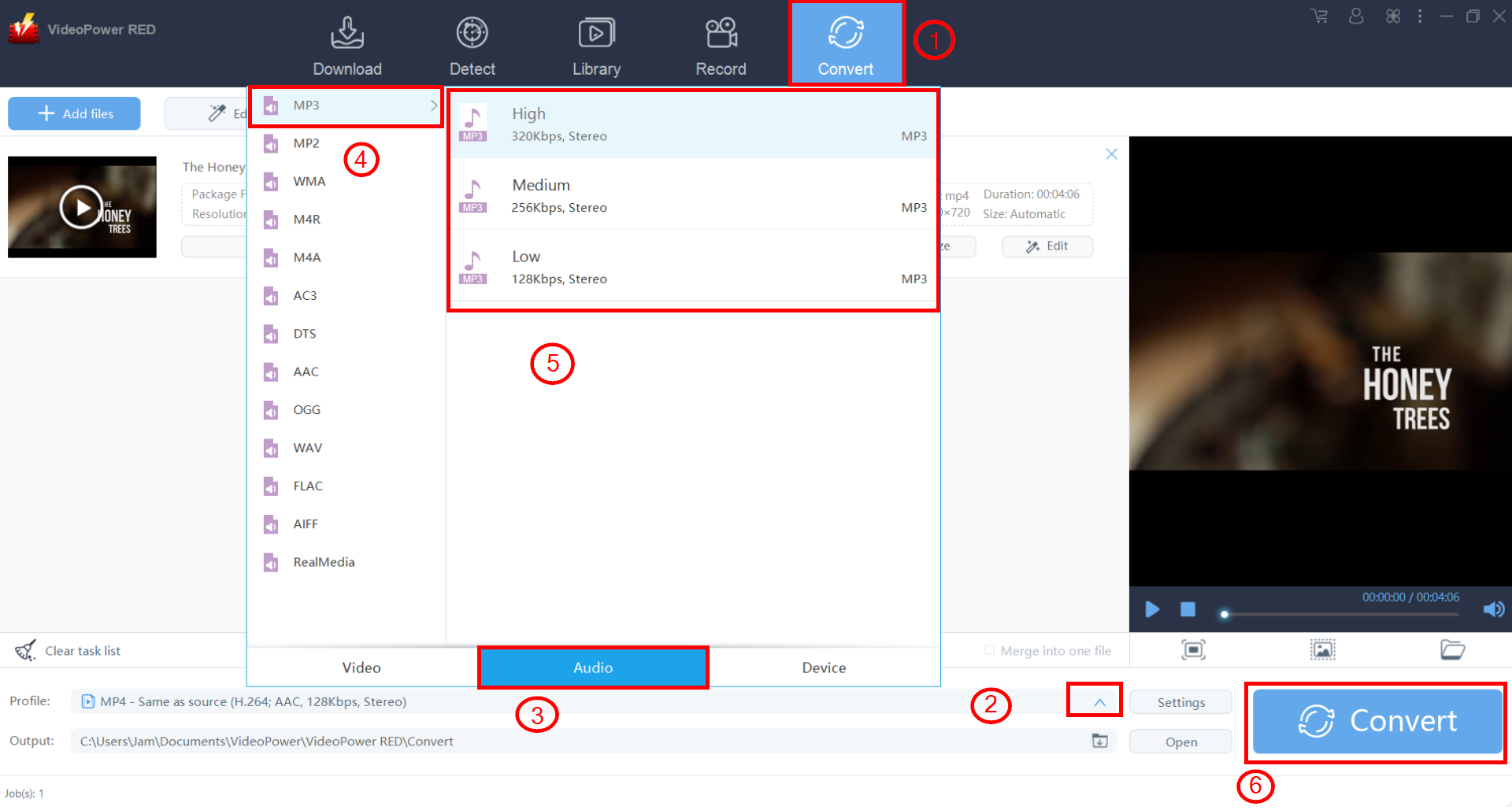 YouTube からオーディオを抽出, ビデオパワーレッド, 出力形式を選択