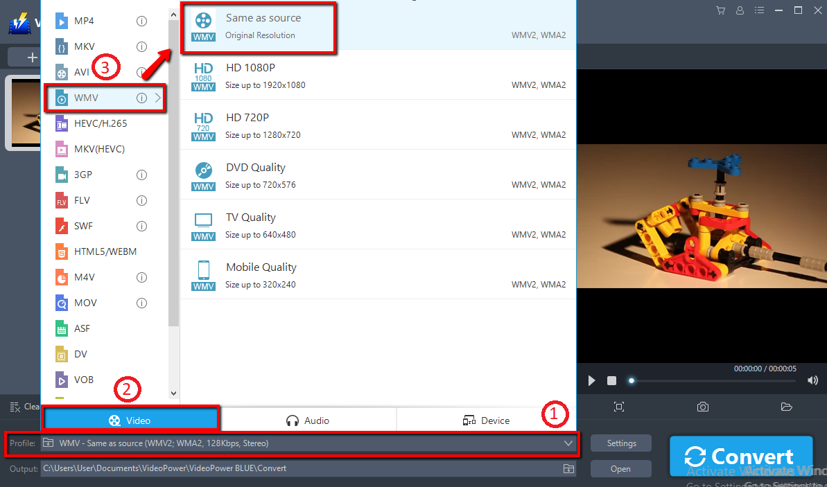 MKVファイル変換、ビデオパワーブルー、出力形式