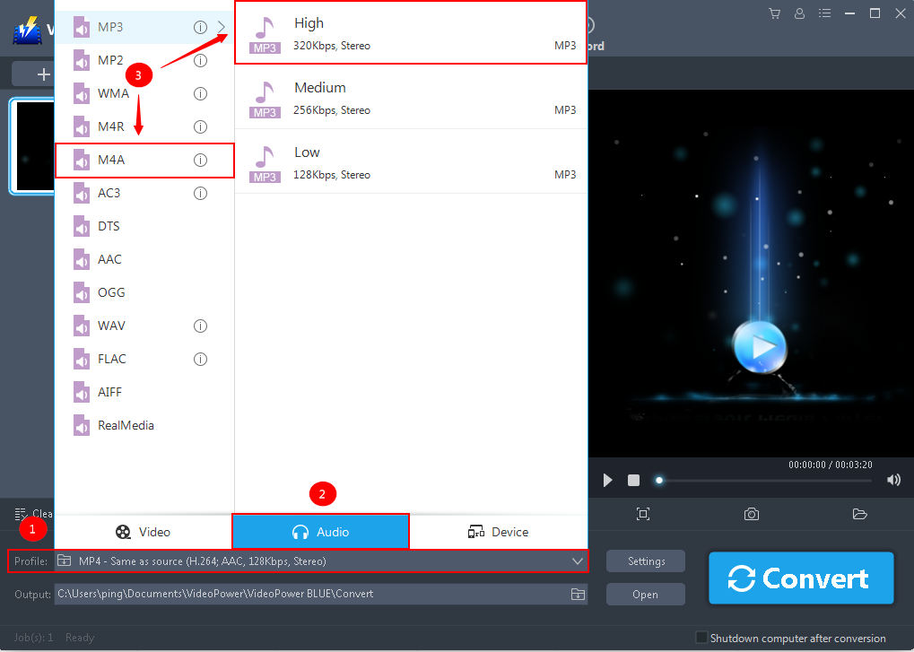 MP3 to M4A Converter, VideoPower BLUE, output format