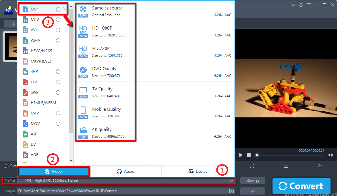 VOB to MP4 Converter, VideoPower BLUE, output format