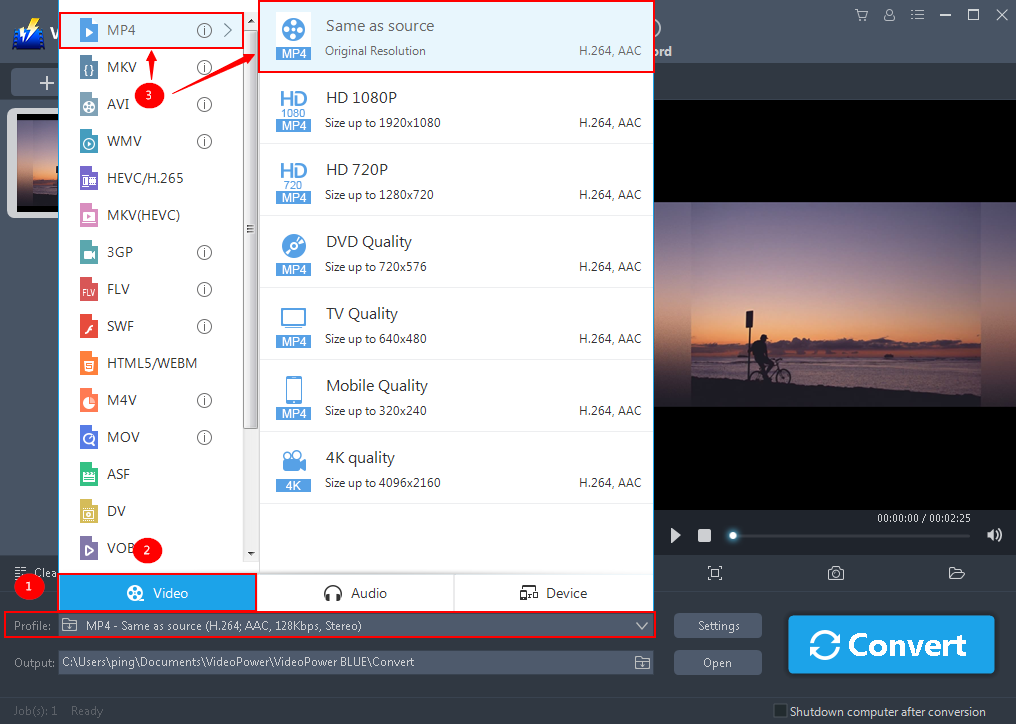 WMV file conversion, VideoPower BLUE, Output format