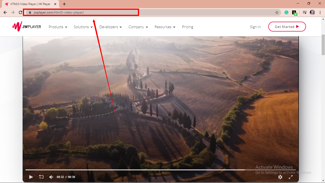 video downloader, VideoPower RED