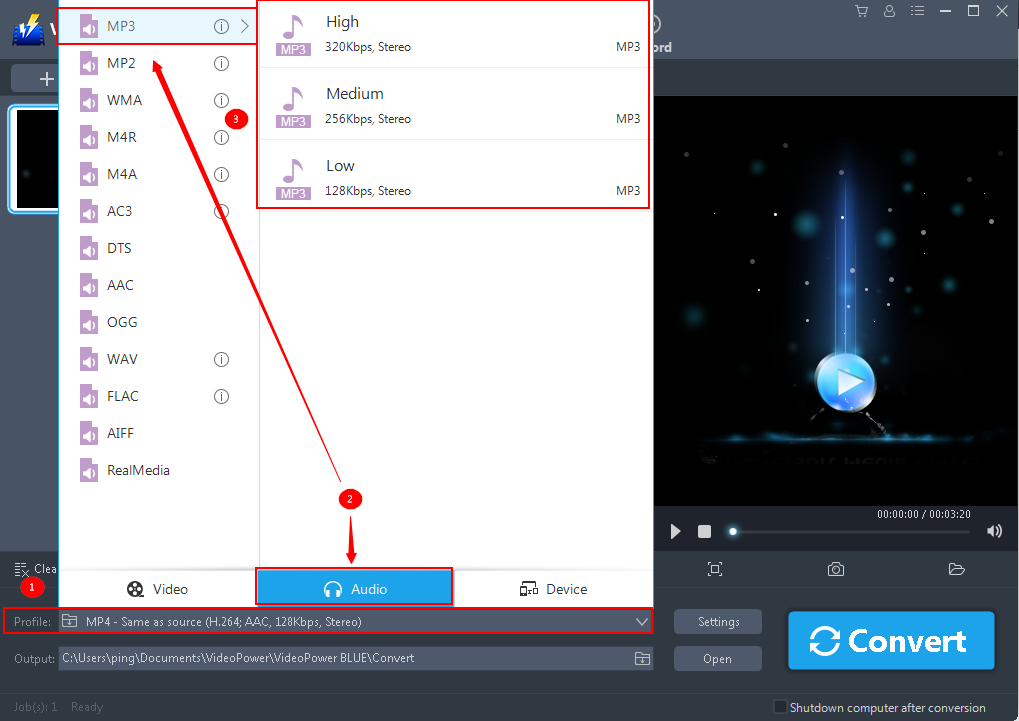 Audio Converter, VideoPower BLUE, output format
