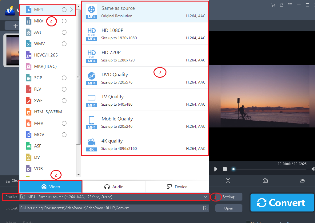 Best 3gp Converter Software, VideoPower BLUE, output format