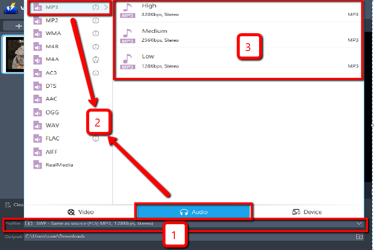 Best Video Converter Software, VideoPower BLUE, output format