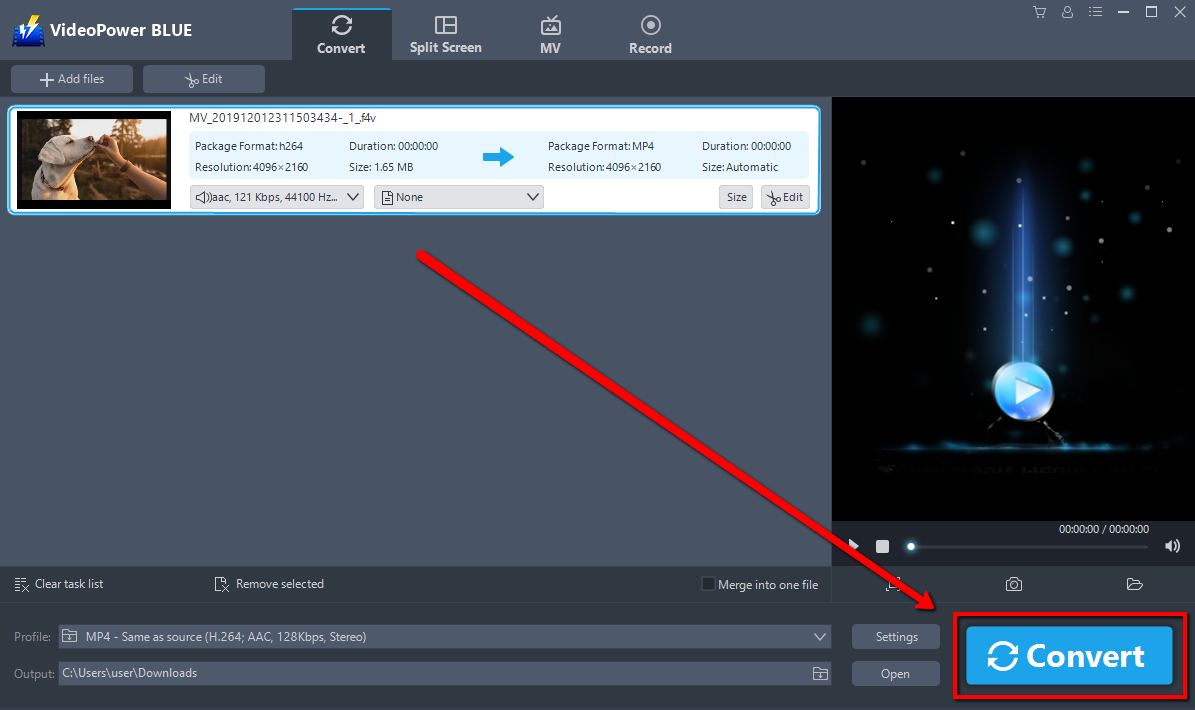 Best Video Converter Software, VideoPower BLUE, output format