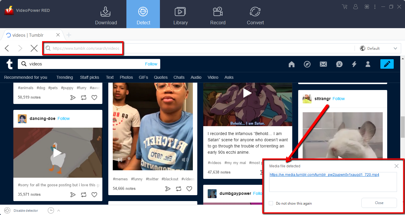  Video downloader for Tumblr, Video downloader, VideoPower RED, embedded browser