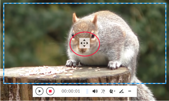 VideoPower GREEN Manual, Moving the recording range