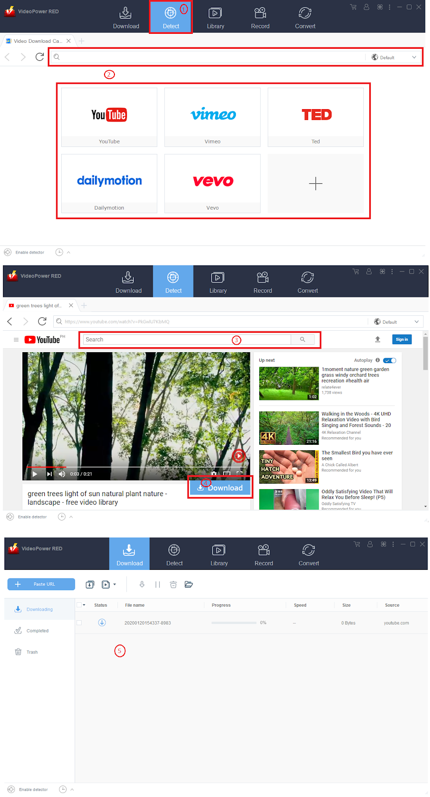 ビデオパワーレッド、自動検出