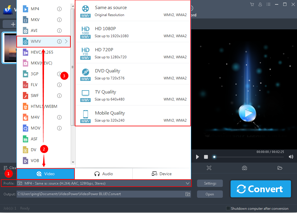 Best Video Converter Software, VideoPower BLUE, output format