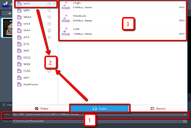 Best Video Converter Software, VideoPower BLUE, output format
