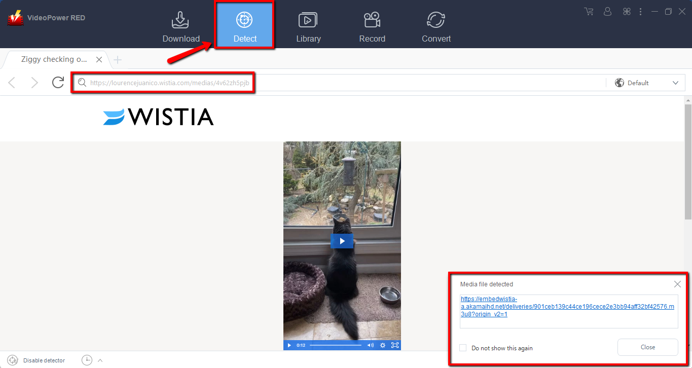video downloader, VideoPower RED
