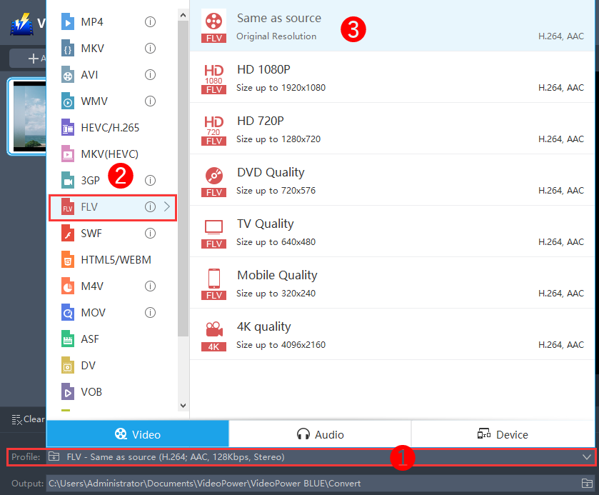 ベストビデオコンバータソフトウェア、ビデオパワーブルー、出力形式